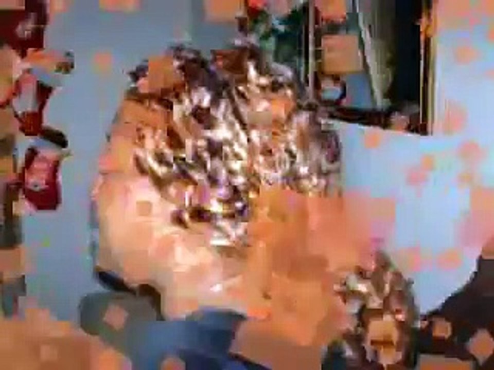 African American Natural Hair Styles