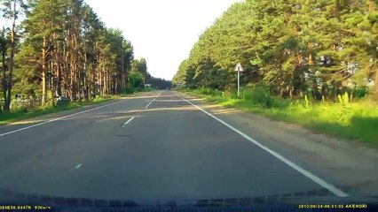 Лось на дороге в Кимрах