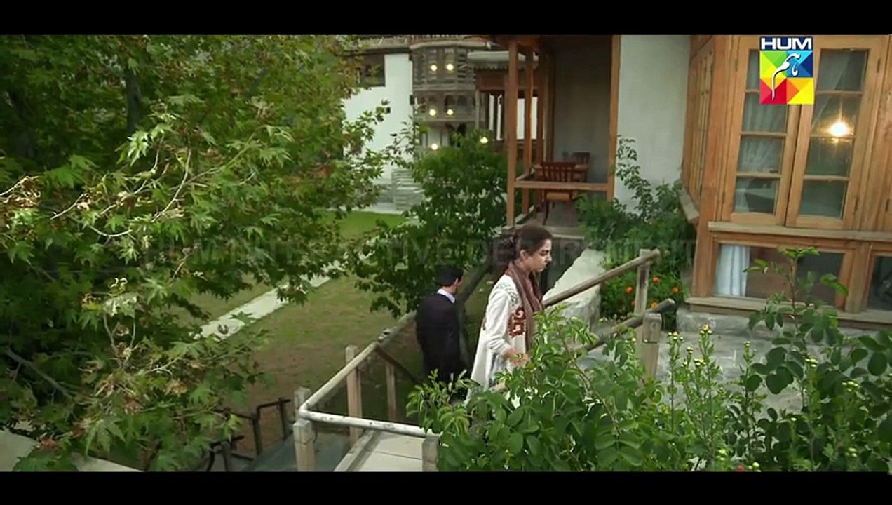 Diyar e Dil Sountrack OST - Title Song