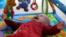 Funny videos - Funny Baby - Funny Pranks - Funny Animals Videos - Funny Kids 2015