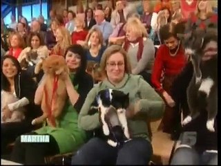 Pam Rutan of Top Shelf Persians on The Martha Stewart Show