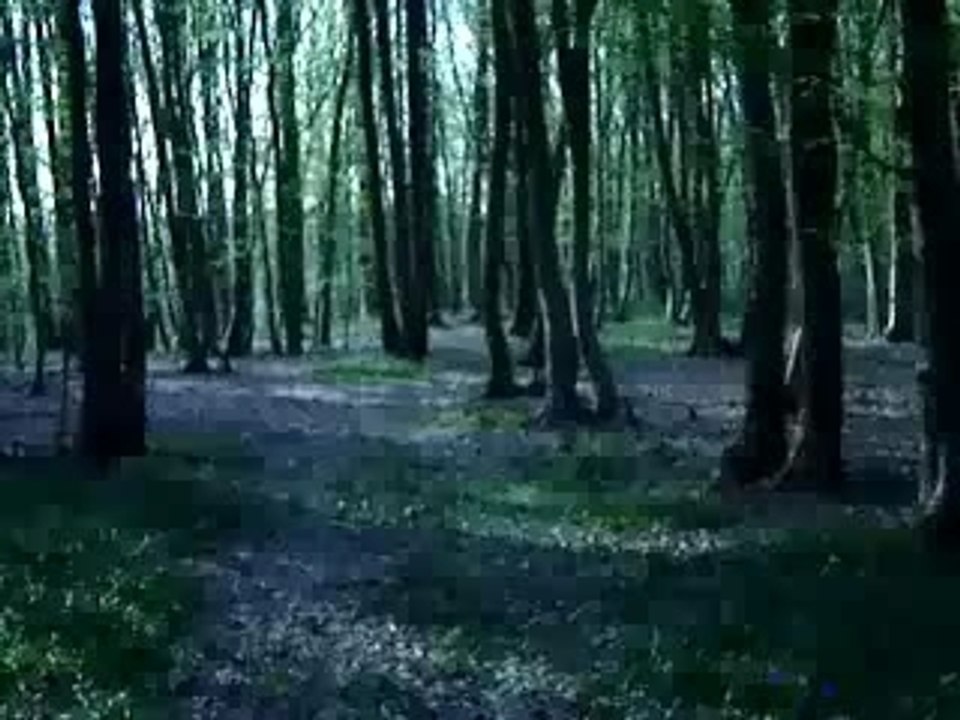 Simonini rieju ktm sx