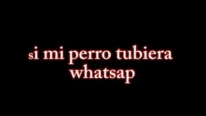 si mi perro tuviera whatsapp , video mensajes del whatsapp chistes internet