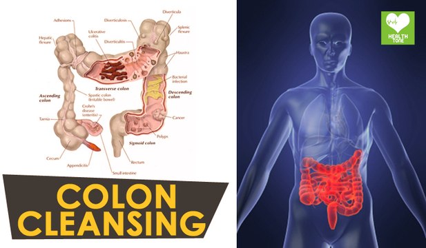 Colon Cleansing Foods - Natural Remedies | Health Tone Tips | Education