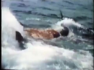 La Estadística en la Vida Cotidiana 4