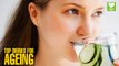 Top Drinks To Fight Ageing | Health Tips | Education