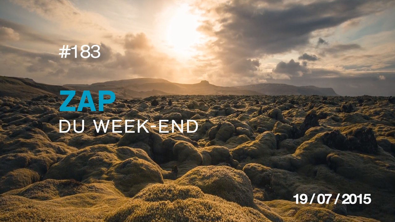 ZAP DU WEEK-END #183 : Parce que c'est normal en Russie ! / Une belle histoire qui commence - NORMAN /