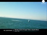 A whale jumps on a boat in South Africa - No comment