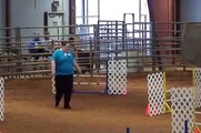 Australian Cattle Dog AKC Dog Agility~ Jumpers