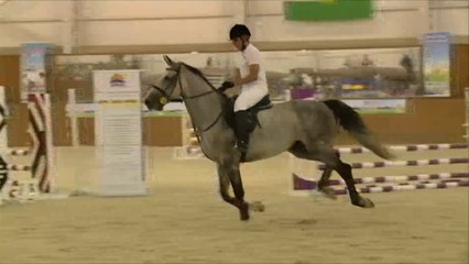 نادي أربيل للفروسية ملاذ لفرسان العراق