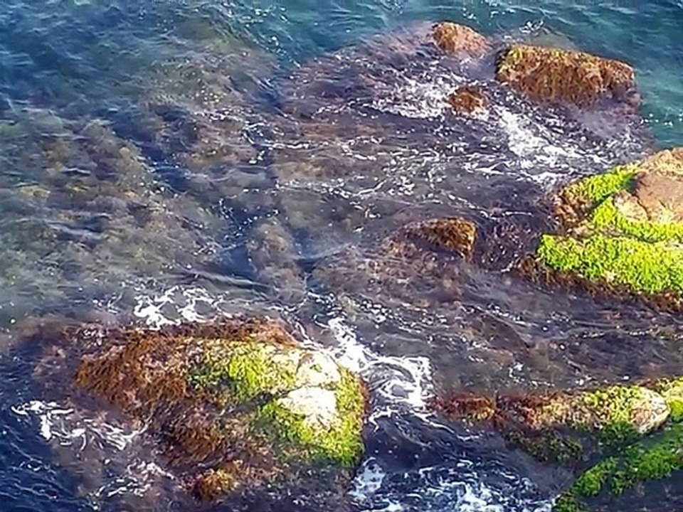 les Plages de la pointe pescade et son coucher de soleil Musique ptit Moh