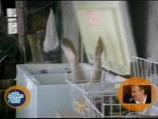 Fée du logis & congélateur