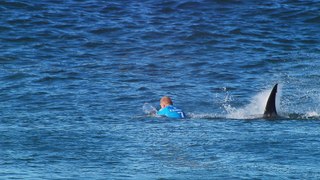 Australian surfer escapes shark attack in world competition