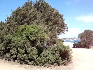 spiaggia piccolo pevero - costa smeralda