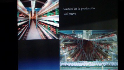 16.07.2015 Mitos y realidades en el consumo de huevo 2-2