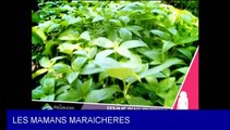 RDC : MAMANS MARAICHERES - REVOLUTION DE LA MODERNITE (LINGALA)