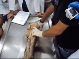 Aula de Anatomia Humana Faculdade Catolica do Ceara