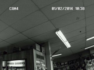 Grizzly Bear Trashes Convenience Store, Photobombs Camera