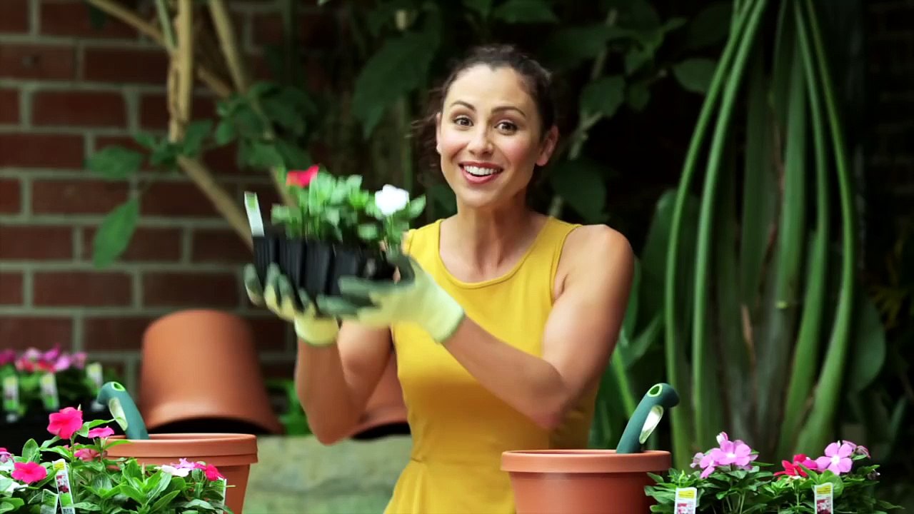 Every Tech Commercial
