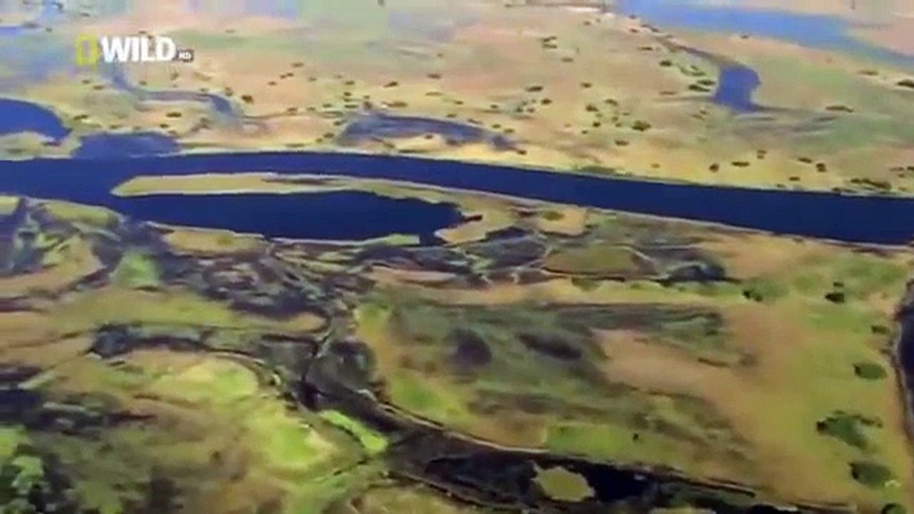 Animal Planet 2015 - Discovery Channel - Wildlife Animals - Hyena Documentary [720 HD]