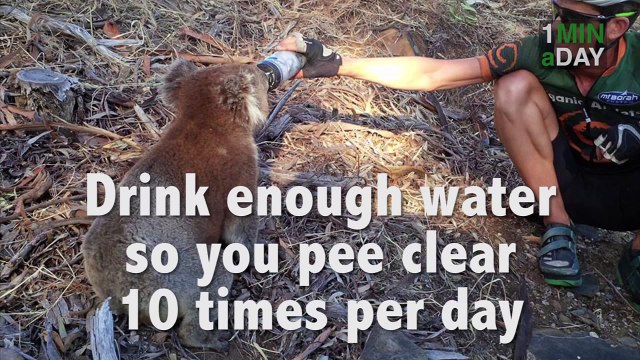 Top 3 Success Principles of Durianrider 1MINaDAY