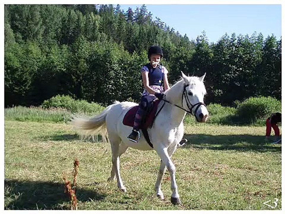 Mystical Miracle ♥
