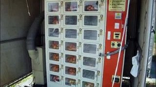Funny Vending Machines[1]