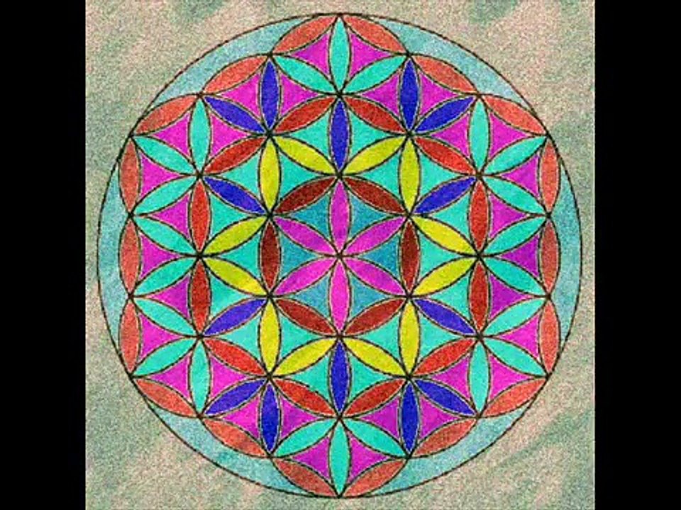 LA FLOR DE LA VIDA La Flor de la Vida MerKaBa Delfines Agua y Sagrada Geometria