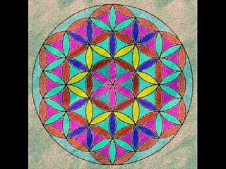 LA FLOR DE LA VIDA La Flor de la Vida MerKaBa Delfines Agua y Sagrada Geometria