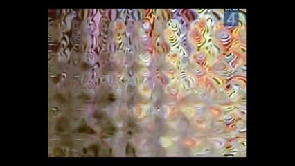 Mr. Trololo feat. YEAH Lamb and The Screaming Sheep - The Trololol Song