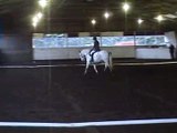 FLECK Prelim 1 Dressage @ Moorhouse Equestrian Centre