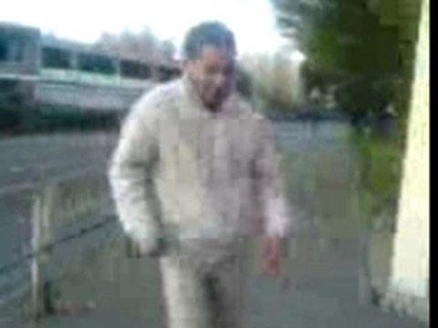 peuplier o vieux sapins o bayeux