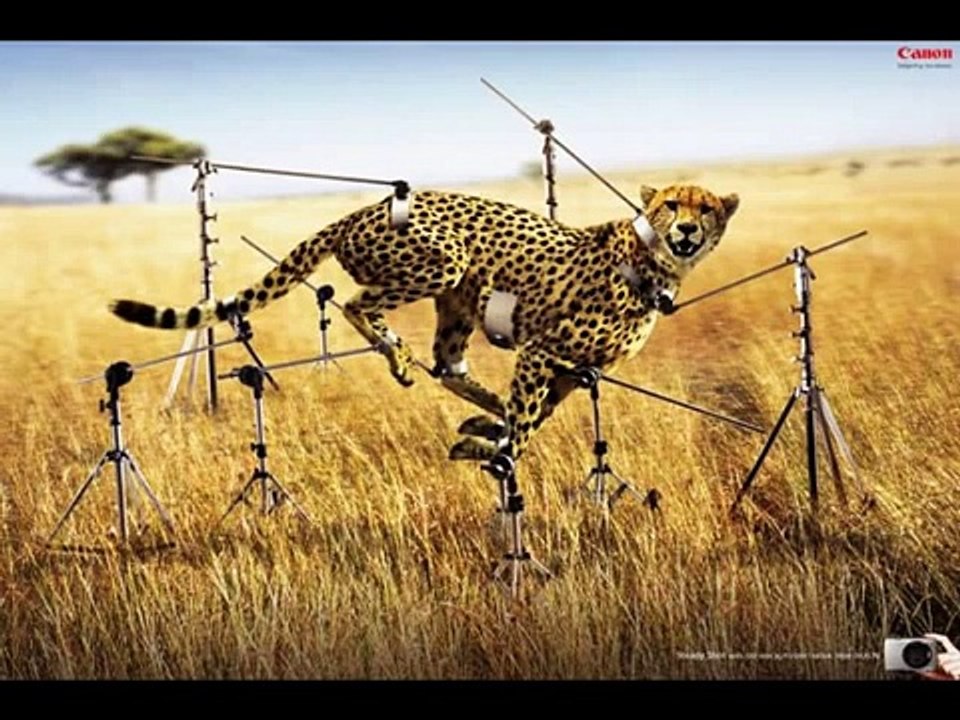 Funny Camera Ads[1]
