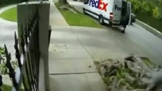 Delivery Guy Tosses New Monitor Over Fence