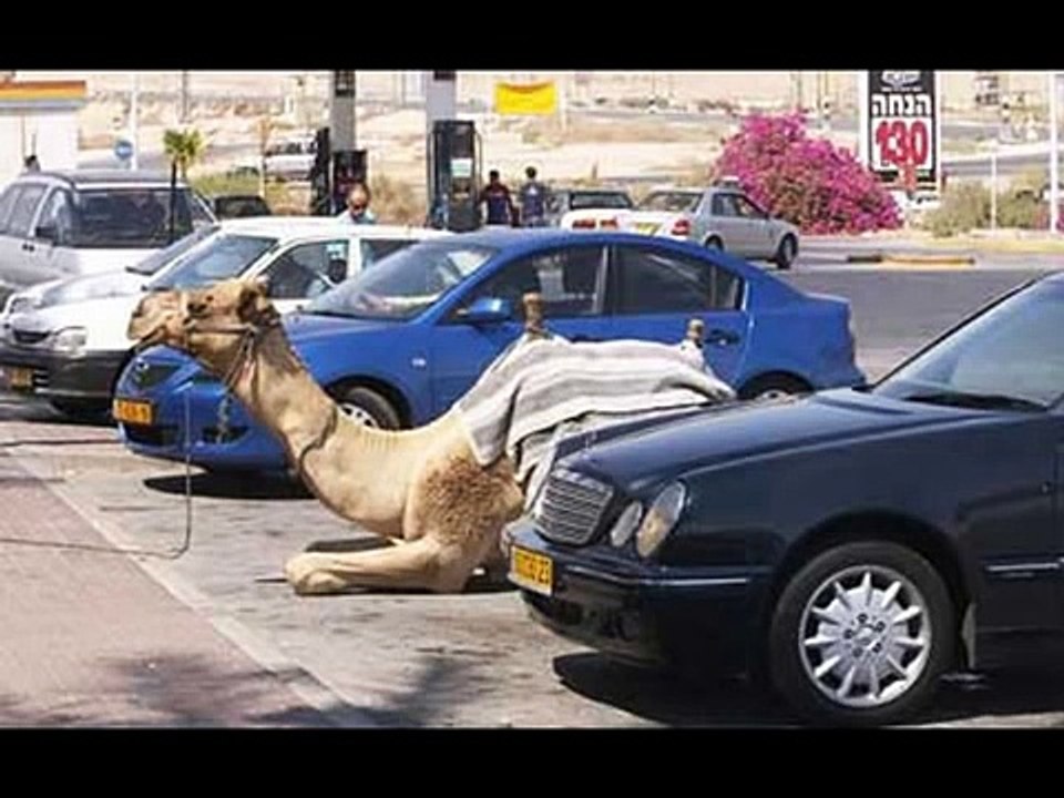 Hilarious PICS Taken[2]
