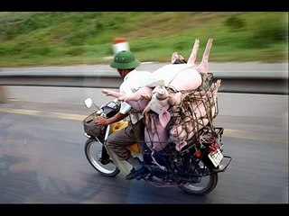 Innovative transport - Funny Transport Ways