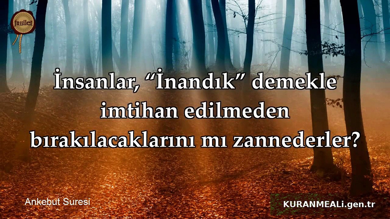 Ankebut Suresi