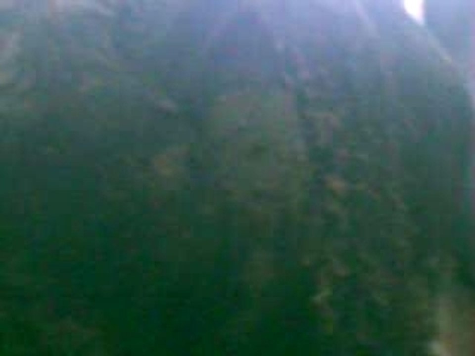 IMAG0006