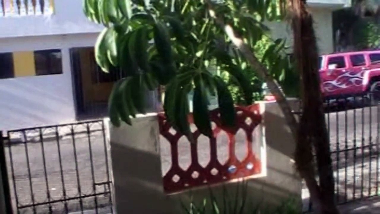 Ay Amor de Micka LANDRO