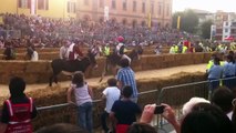 Palio degli Asini - Alba 2012