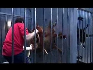 Julie Taton à Fort Boyard