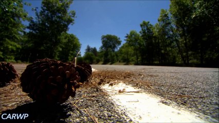 EM MOVIMENTO Ford Focus Hatch SE Flex Fuel 2015 @ 60 FPS