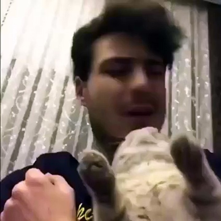 LMAO! Cats Can Dance Well!