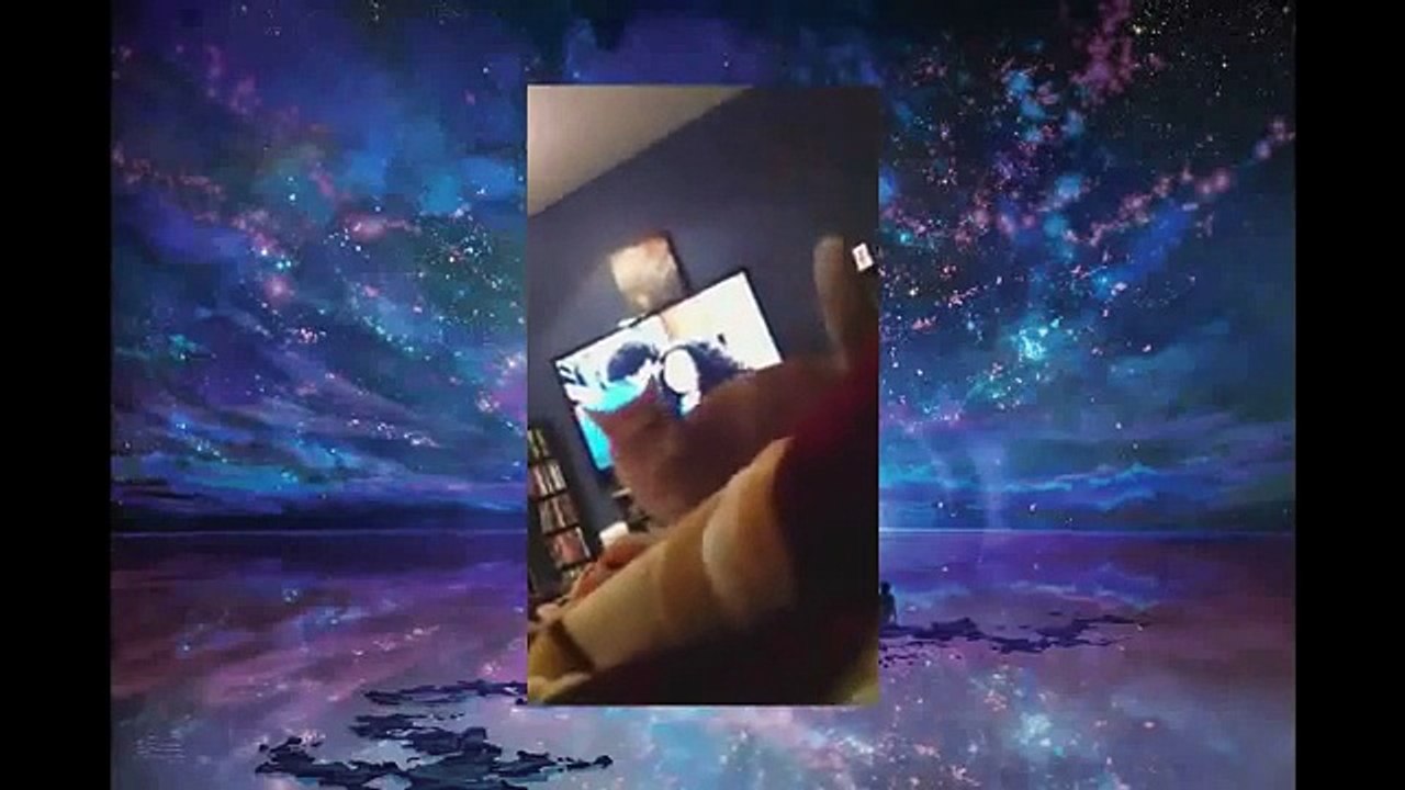 TOP Funny Cats Compilation 2014 Funniest Cats Videos Cat Fails Cute Cats Humour Cat-copypasteads.com