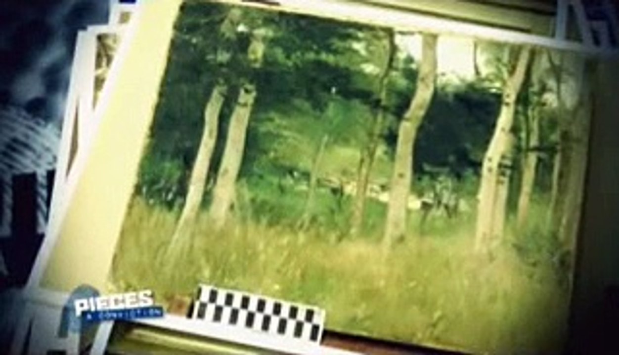 pièce à conviction scandale wildenstein 1-6