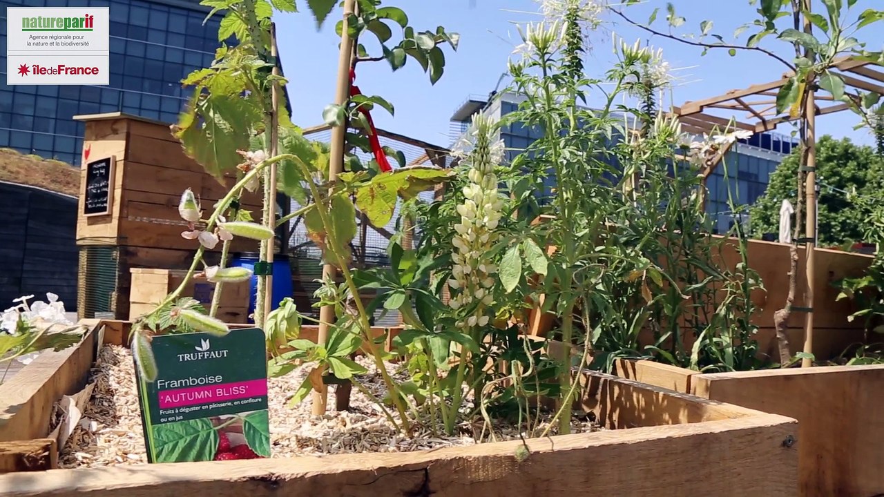 Ateliers d'été Agriculture Urbaine 2015