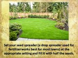 How to Plant a Lawn From Seed - Garden Landscaping Ideas