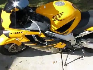 2000 Honda CBR 600 - Yellow and Black