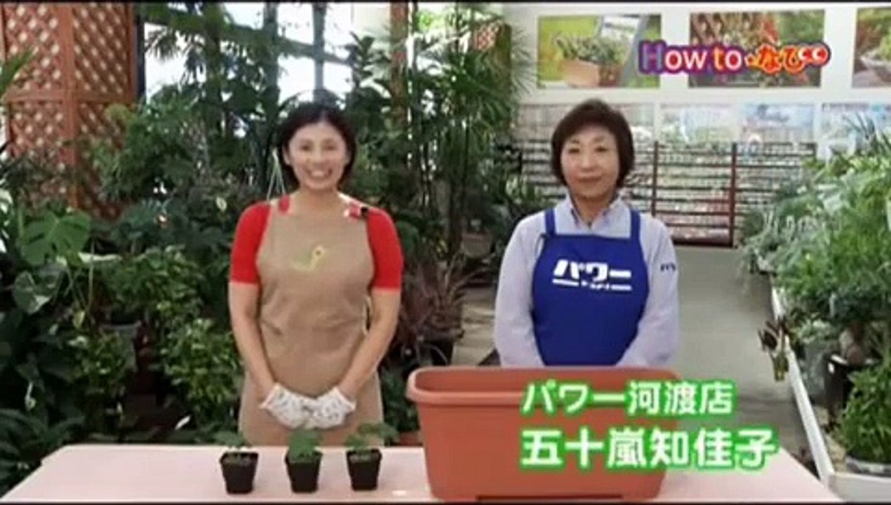 イチゴの育て方【コメリHowtoなび】