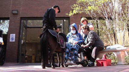 Little horses make a big difference in patients' recovery